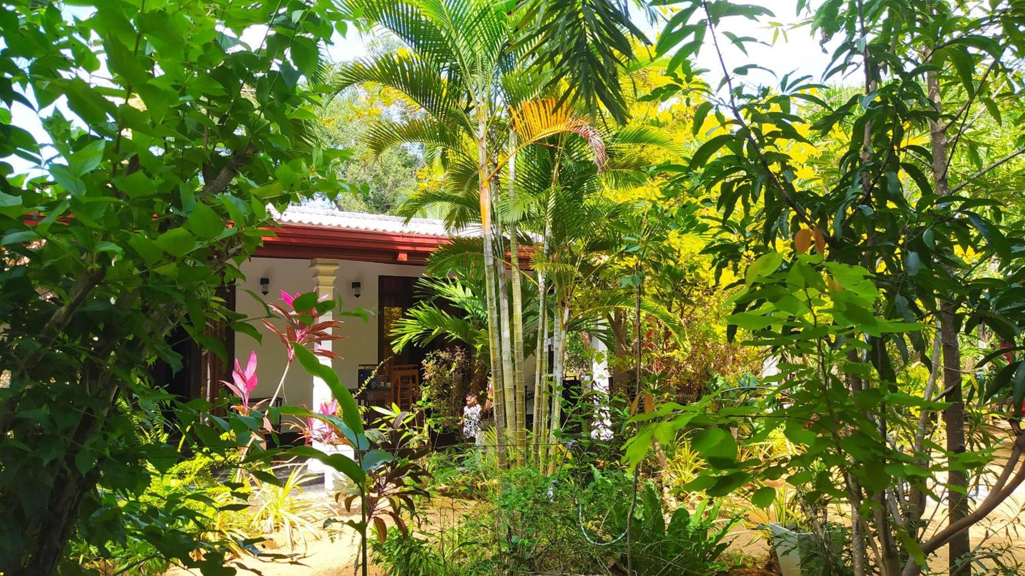 Yashi'S Place Sigiriya Exterior photo