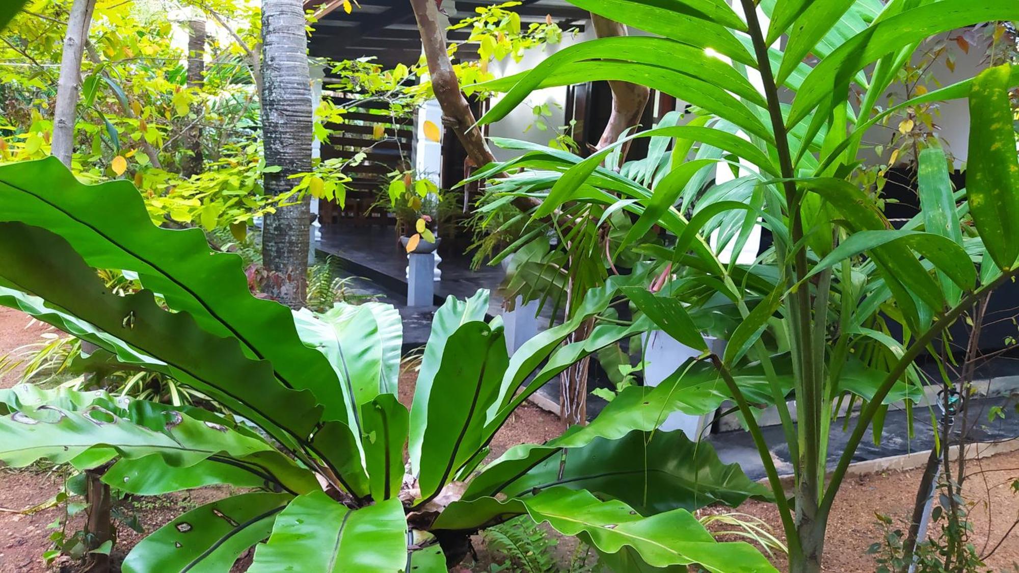 Yashi'S Place Sigiriya Exterior photo