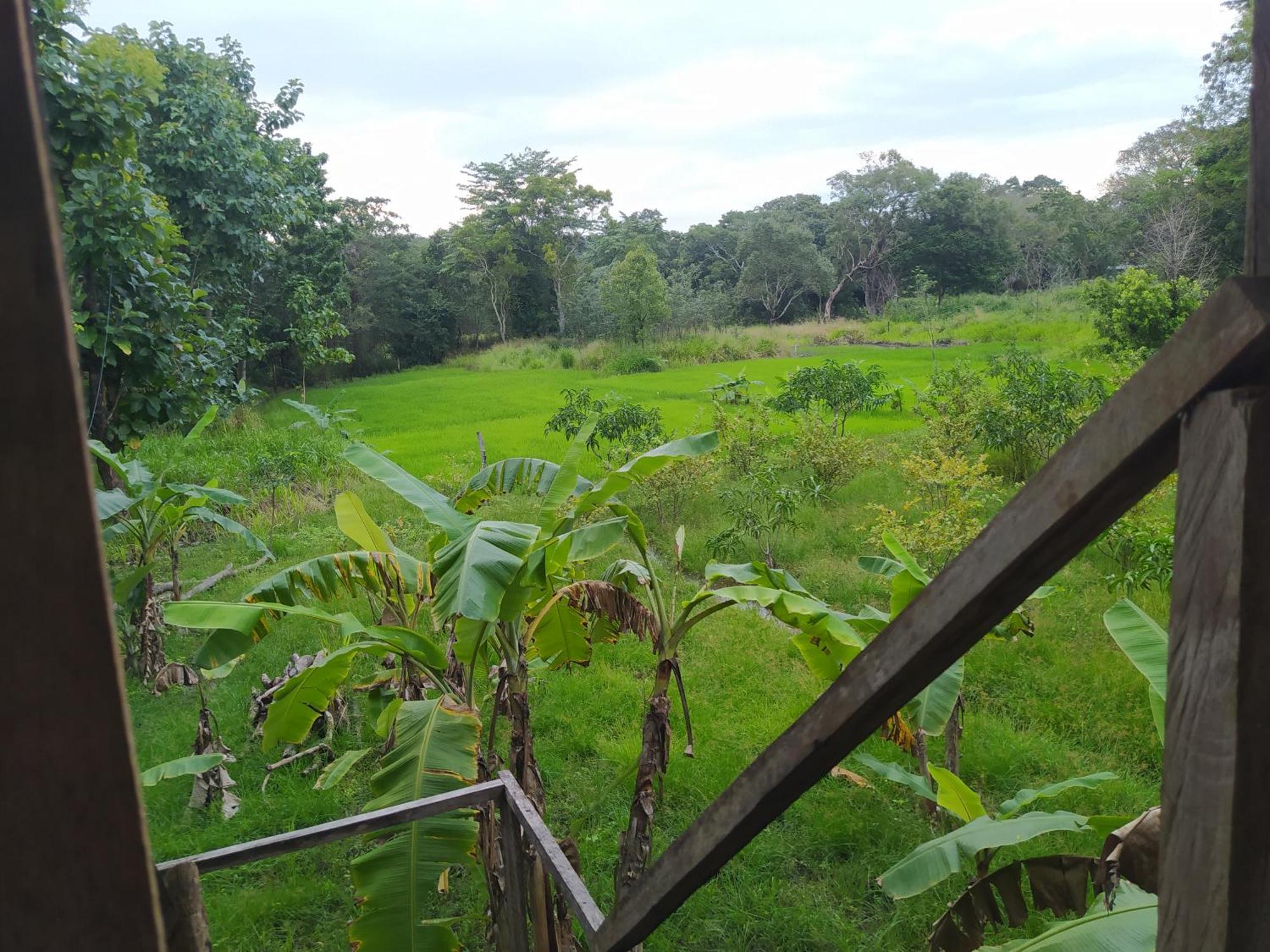 Yashi'S Place Sigiriya Exterior photo