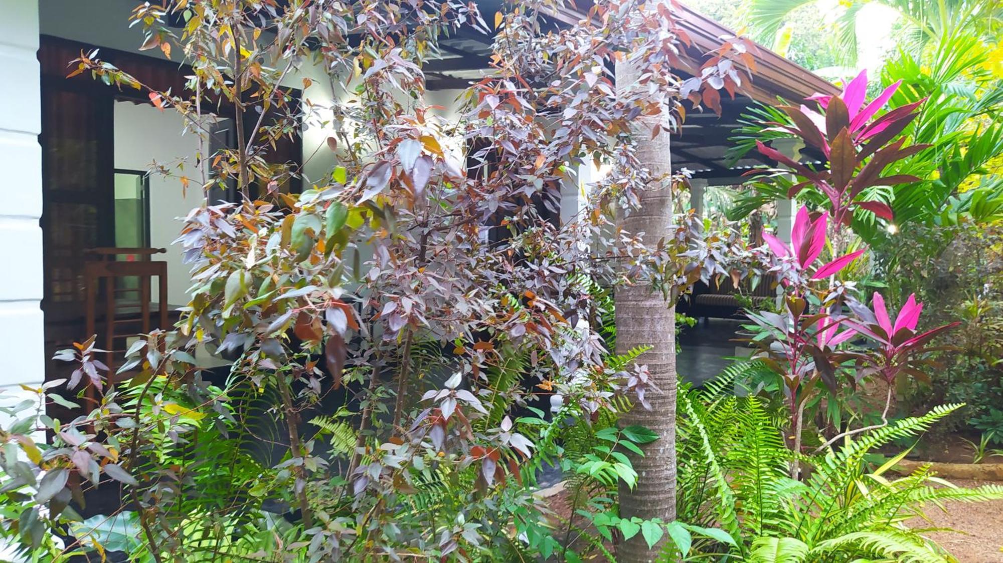 Yashi'S Place Sigiriya Exterior photo