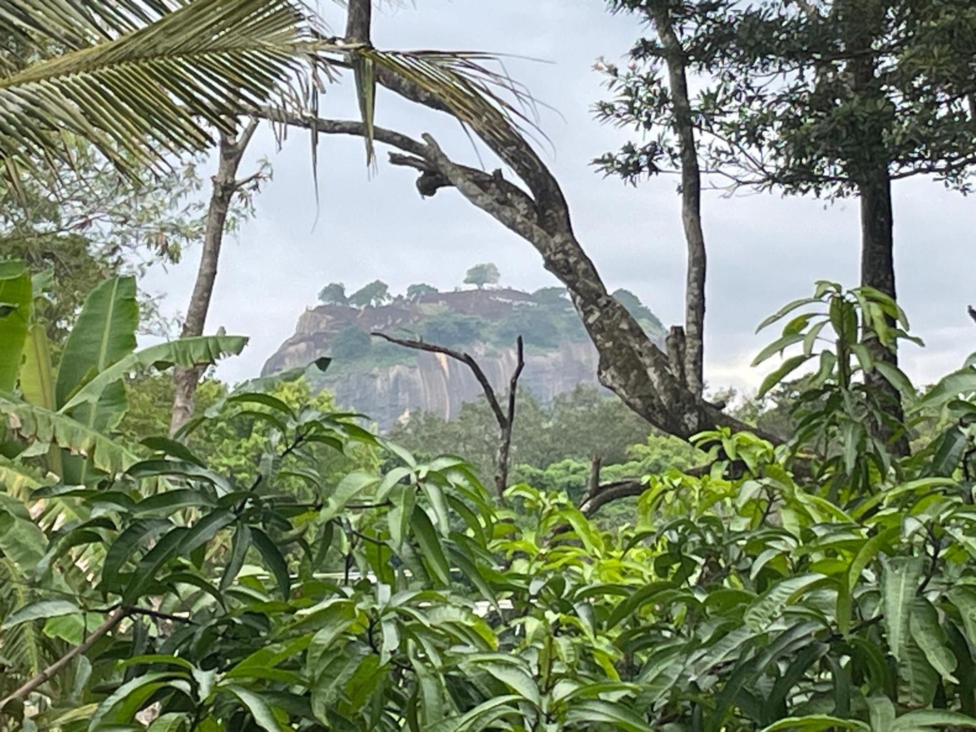 Yashi'S Place Sigiriya Exterior photo